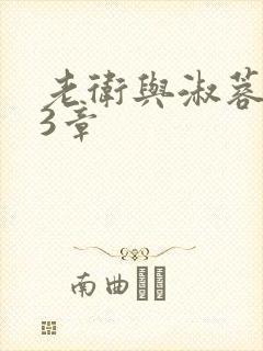 老卫与淑蓉第13章