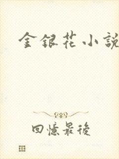 金银花小说乐可封面