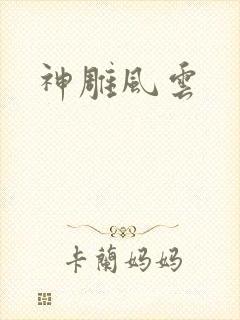 神雕风云