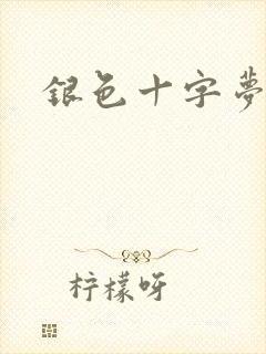 银色十字梦封面