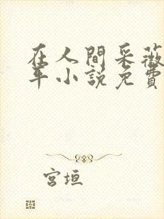 在人间采薇陆三平小说免费阅读