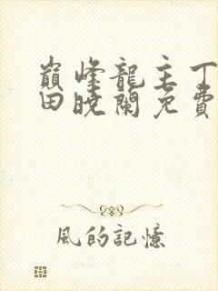 巅峰龙主丁长顺田晓兰免费阅读