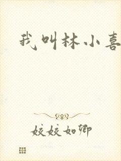 我叫林小喜17