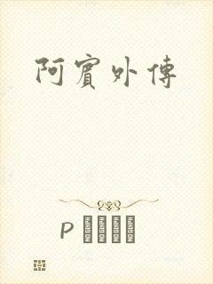 阿宾外传封面