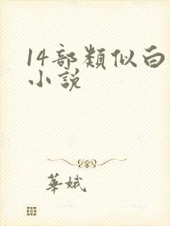 14部类似白洁小说封面