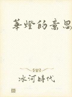 华灯的意思封面