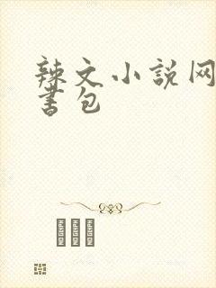 辣文小说网第二书包