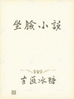 坐脸小说