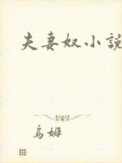 夫妻奴小说