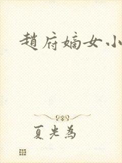 赵府嫡女小说