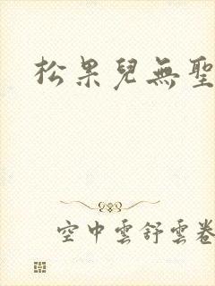 松果儿无圣光