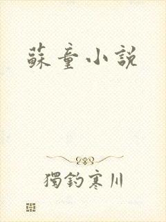苏童小说