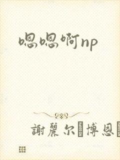 嗯嗯啊np