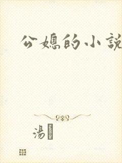 公媳的小说封面