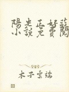 阳光正好苏玥玥小说免费阅读无弹窗