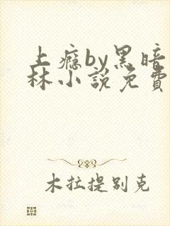 上瘾by黑暗森林小说免费
