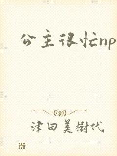 公主很忙npc