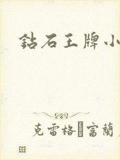 钻石王牌小说封面
