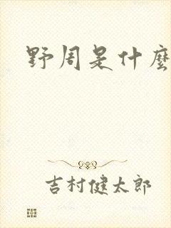 野周是什么意思