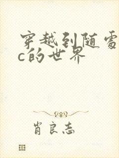 穿越到随处可以c的世界