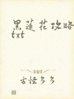 黑莲花攻略手册txt
