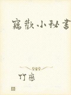 窃欢小秘书