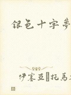 银色十字梦封面