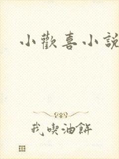 小欢喜小说