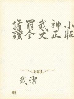 修罗武神小说阅读全文正版封面