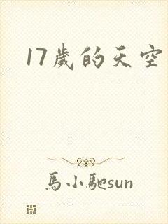 17岁的天空封面