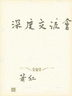 深度交流会