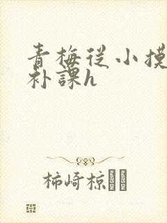 青梅从小摸到大补课h