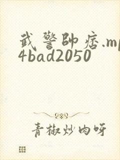 武警帅痞.mp4bad2050