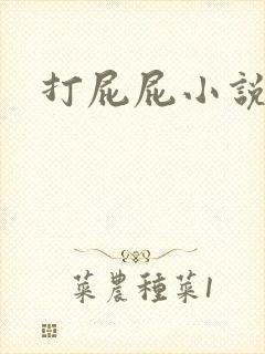 打屁屁小说