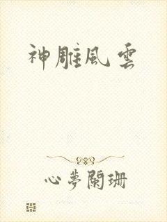 神雕风云