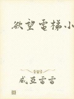 欲望电梯小说