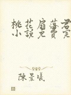 桃花扇落君不还小说免费完整版封面