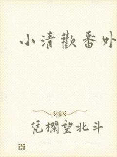 小清欢番外