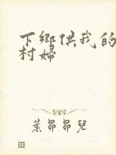 下乡供我的发泄村妇封面