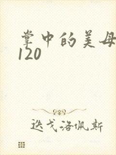 掌中的美母版主120