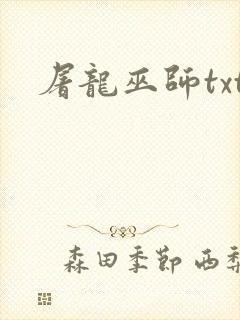 屠龙巫师txt