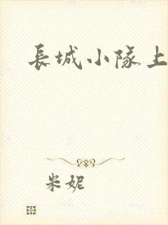 长城小队上中下封面