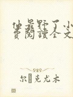 他最野了小说免费阅读全文