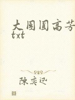 大团圆高芳小说txt