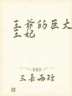 王爷的巨大进入王妃封面