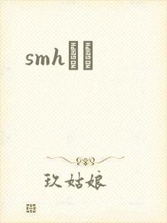 smhС˵封面