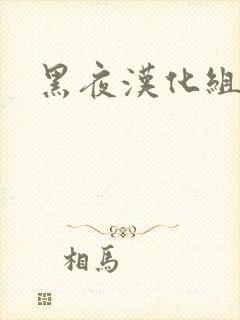 黑夜汉化组