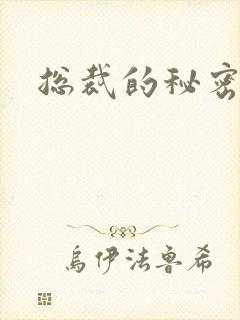 总裁的秘密情人封面
