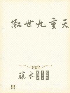 傲世九重天小说