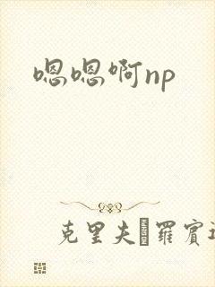 嗯嗯啊np